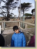 Zoo-Dec2013 (15) * 4896 x 3672 * (7.05MB)